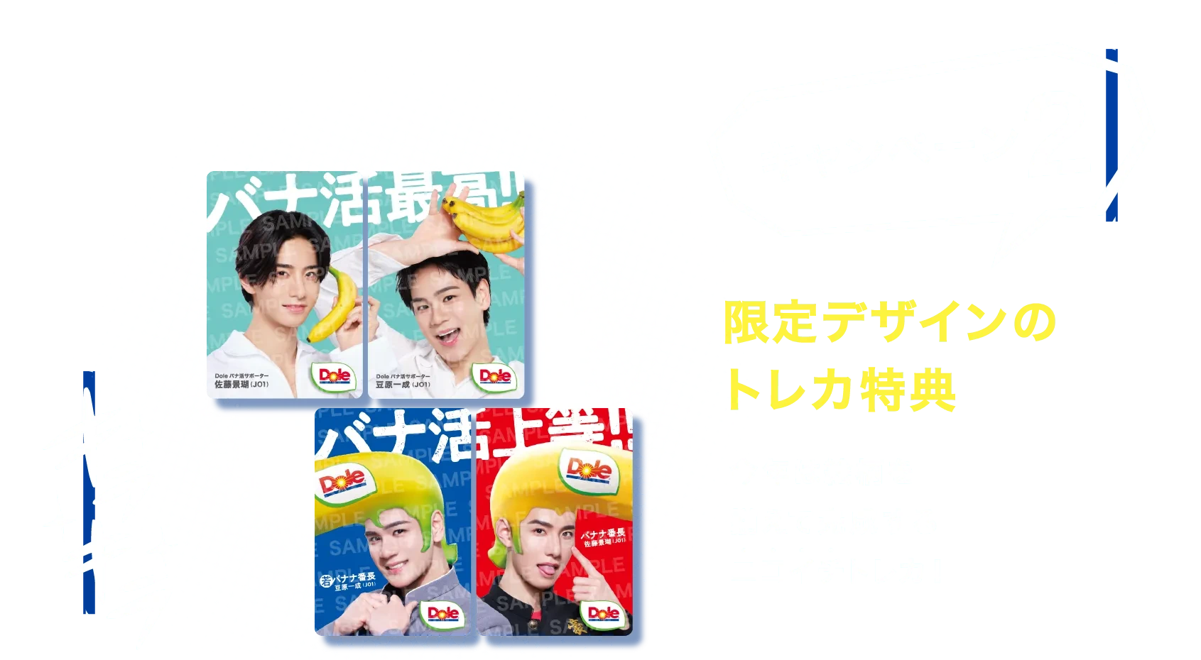 限定デザインのトレーディングカード特典