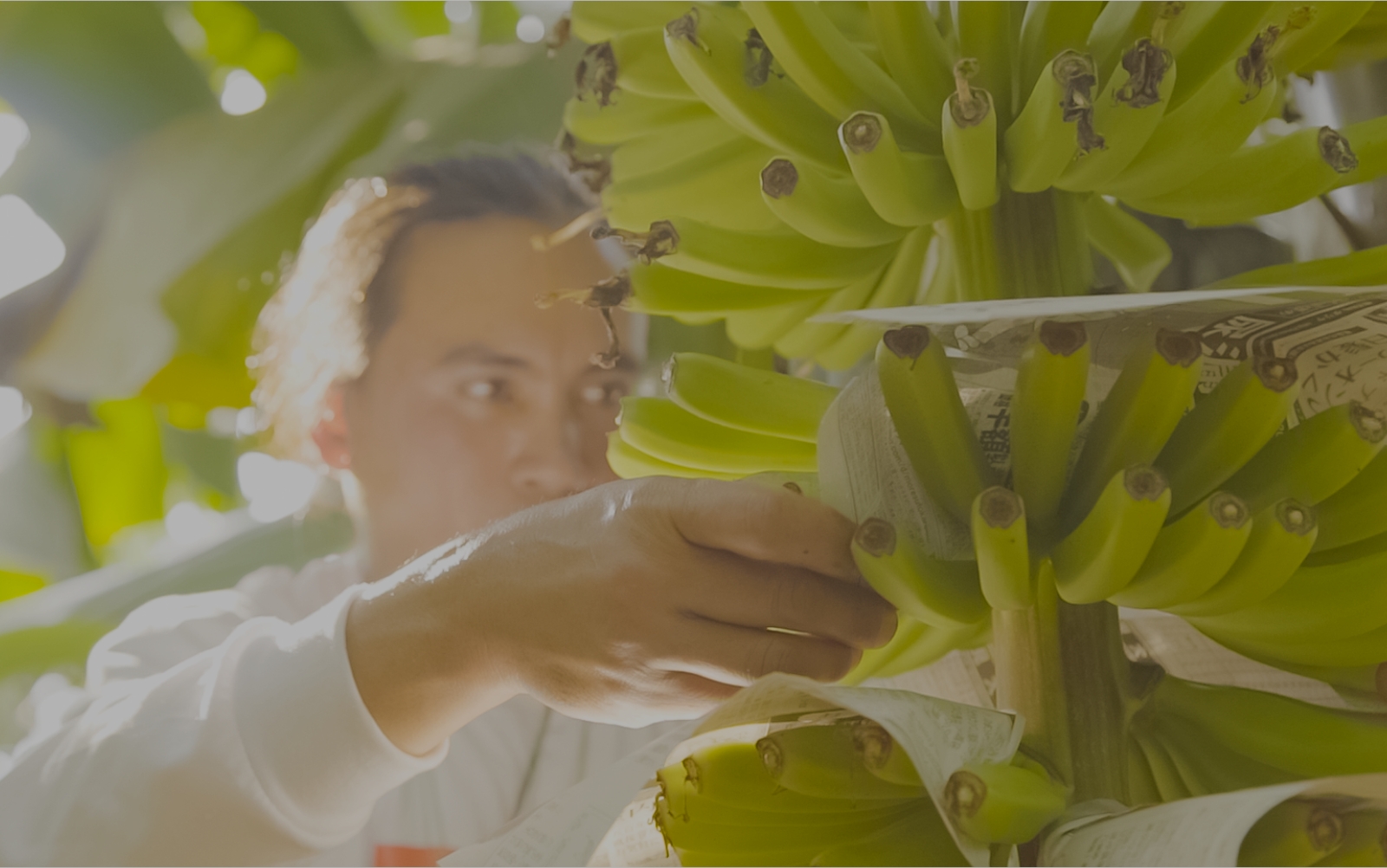 産地のこだわり