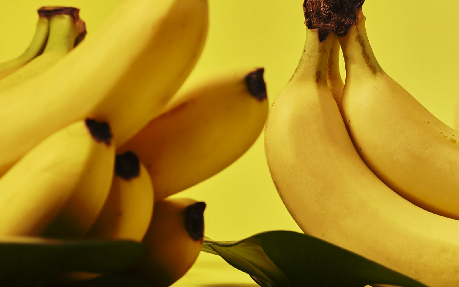 おいしさのこだわり