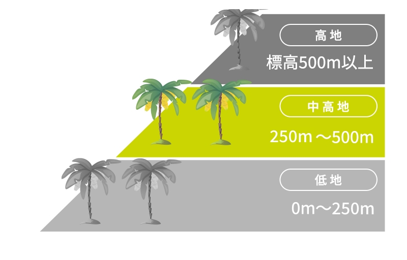 中高地の特徴