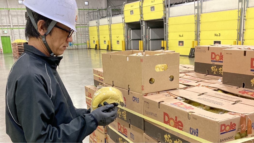 室（ムロ）から小売店へ