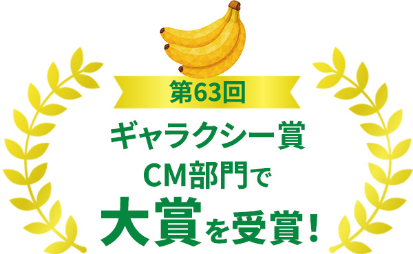 第63回ギャラクシー賞CM部門で大賞を受賞！