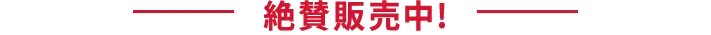 絶賛発売中！