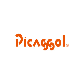 株式会社ピカソル