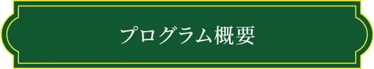 プログラム概要