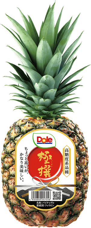 パイナップル畑様 リクエスト 7点 みっともなく まとめ商品
