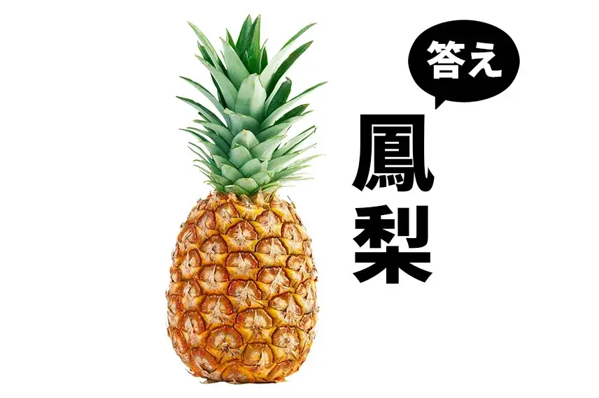パイナップルを漢字で書くと「鳳梨」