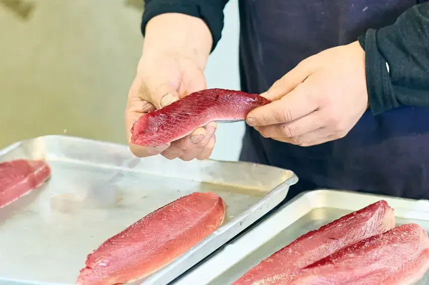 カツオの目利きをする田中さん